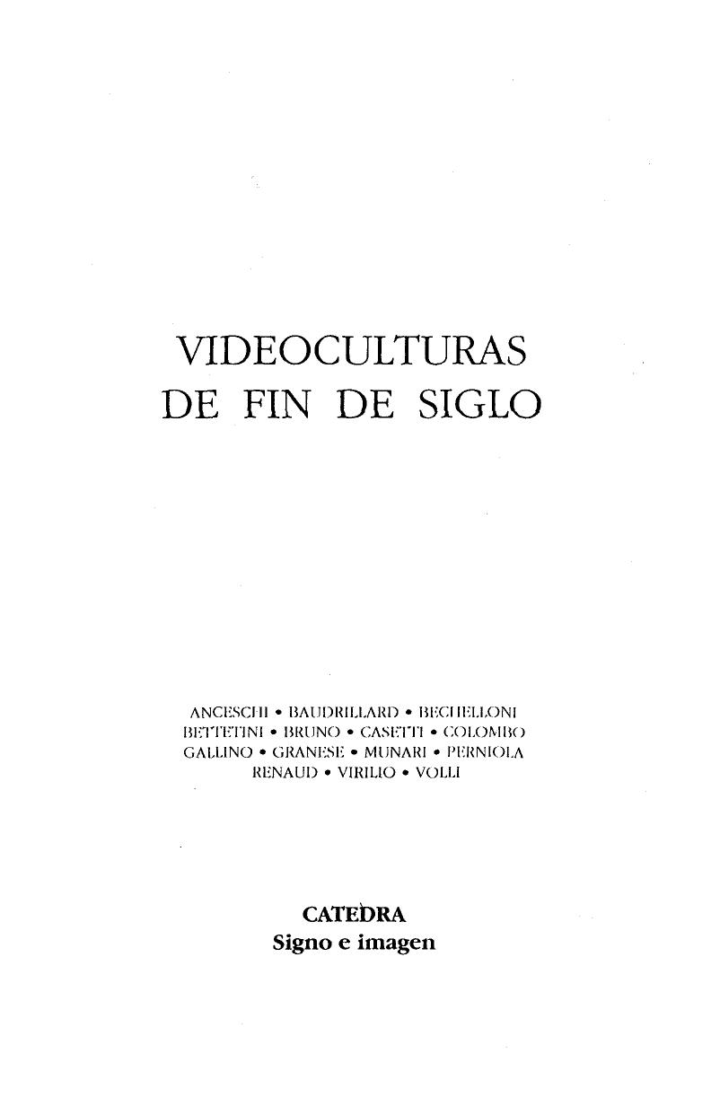 Videoculturas de fin de siglo